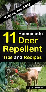 Maybe you would like to learn more about one of these? 11 Brilliant Diy Ideas For Deer Repellents