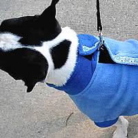 Fido Fleece Coat For Small Dogs From Golly Gear