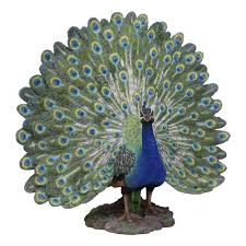 The Regal Peacock Garden Statue In 2020 Male Peacock Garden Statues Statue