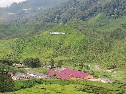 The boh tea plantation is just at your door step, guest can enjoy 4×4 safari and atv ride in the surroundings area! Breathtaking View Review Of Cameron Valley Tea House Tanah Rata Malaysia Tripadvisor