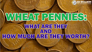 There are a few key coins that could stretch your coin collecting. What Is A Wheat Penny And How Much Are They Worth
