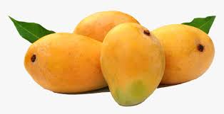 Mar 05, 2020 · chutney dates back to 500 bc. Transparent Mango Fruit Png Mango Fruit Png Download Transparent Png Image Pngitem