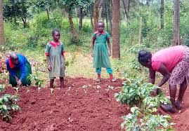 We aren't very strict on what topics can be posted, just make sure it relates to kenya or is of interest to kenyans in some way. Kenya Television Lessons By The Government But Not Everyone Has A Television Newsblog Freunde Waldorf