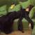 Fainting Couch Gif