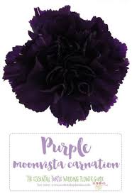 Maybe you would like to learn more about one of these? The Complete Guide To Purple Wedding Flowers Purple Flower Names Purple Wedding Flowers Light Purple Wedding Flowers Wedding Flowers