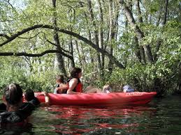 Find what you need at booking.com, the biggest travel site in the world. Aquatrek Lago Di Mezzano Bolsena Bolsenaland