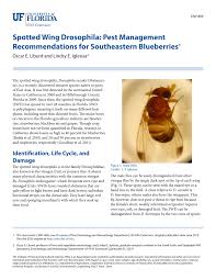 2012 cornell pest and crop management guidelines (including vegetable, tree fruits, berry crops and grapes) and pesticide application certification training manuals. Pdf Spotted Wing Drosophila Pest Management Recommendations For Southeastern Blueberries