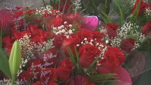 Come and indulge your senses. Don T Say It With Roses This Valentine S Day Florists Advise Cbc News