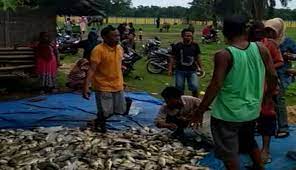 Untuk kolam ikan koi, kandungan oksigen yang dibutuhkan sekitar 6 mg/ ltr. Kupas Tuntas Ribuan Ikan Di Bendungan Way Rarem Mati