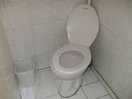What Do You Mean I Can'T Flush My Toilet Paper In Greece?!? – The Roaming  Bean