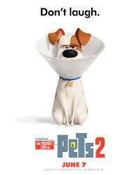 Patton Oswalt Is Max The Pets Return This Summer In The New Movie The Secret Life Of Pets 2 Coming To Theaters J Secret Life Of Pets Secret Life Full Movies