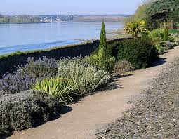 Blog Jardinage Blog Plantes Vivaces Blog Potager Jardin Jardins Plantes Mediterraneennes Jardin Mediterraneen