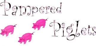 Teacup Pigs In Minnesota Teacup Piglets