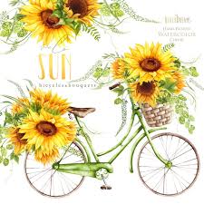 Sunflower Watercolor Flower Clipart Vintage Bicycle Velo Summer Clip Art Rustic Sunflowers Hop Herbs Bohemian Boho Digital Floral In 2020 Watercolor Flowers Watercolor Sunflower Clip Art Vintage