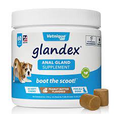 Maybe you would like to learn more about one of these? Best Dog Probiotics Buying Guide Gistgear