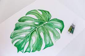 How To Make Olive Green Paint And More