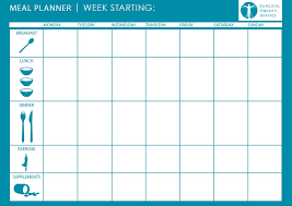 Daily Meal Plan Template Meal Planning Template Weekly Meal Planner Template Macro Meal Planner
