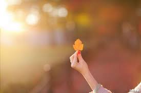 Kết quả hình ảnh cho ảnh mùa thu đẹp