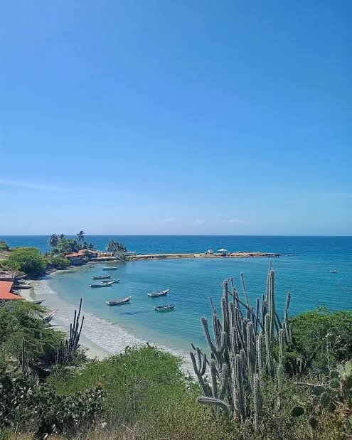 Playa El Cardón