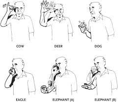 Deaf Story American Sign Language Let S Go To Watch Facebook