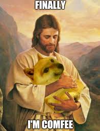 Finally He S Kinda Comfee Doe Okbuddyretard Stupid Memes Funny Memes Cute Memes