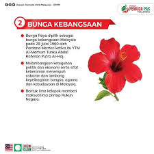Detail dari gambar kau tahu tak bunga raya mengapa ia dipilih sebagai bunga kebangsaan. Kenapa Bunga Raya Bunga Kebangsaan