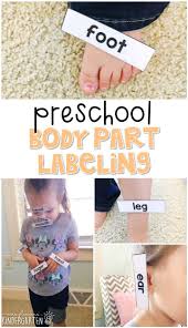Worksheets for practicing vocabulary, spelling and sentences relating to parts of the body. Human Body Parts Worksheets Kindergarten Of Preschool My Body Mrs Plemons Kindergarten Free Templates