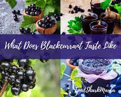 The confusion that exists between blackcurrants and currants is incredible. What Does Blackcurrant Taste Like The Forgotten And Forbidden Fruit Food Shark Marfa