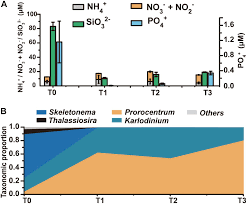 Frontiers Metatranscriptomic Signatures Associated With