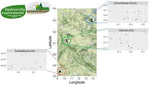 Furniture beetles are one of the many wood boring beetles that are included in the powderpost beetle group of insects. Insects Free Full Text Local And Landscape Effects On Carrion Associated Rove Beetle Coleoptera Staphylinidae Communities In German Forests Html