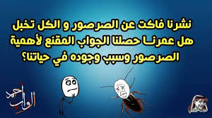 Check spelling or type a new query. Ø§Ø¨ÙˆØ°ÙŠØ§Øª Ù…Ø¶Ø­ÙƒÙ‡ Ø§Ø¨ÙˆØ°ÙŠØ§Øª Ù…Ø¶Ø­ÙƒØ© Ø¹Ø±Ø§Ù‚ÙŠØ© ØªØ­Ø´ÙŠØ´ Ù†ÙƒØª Ø¹Ø±Ø§Ù‚ÙŠØ© Ù…Ø¶Ø­ÙƒØ© Ùˆ Ø¯Ø§Ø±Ù…ÙŠØ§Øª Tutup Air