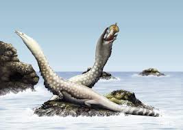 Image result for Nothosaurus