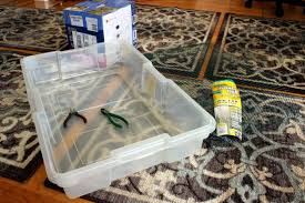 Maybe you would like to learn more about one of these? Bunny Litter Box Ideas Www Macj Com Br