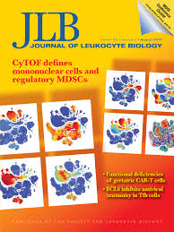 We did not find results for: Myeloid Derived Suppressor Cells And T Regulatory Cells In Tumors Unraveling The Dark Side Of The Force Hatziioannou 2017 Journal Of Leukocyte Biology Wiley Online Library
