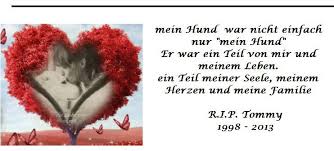 #für immer in meinem herzen. Fur Immer In Meinem Herzen Zur Erinnerung An Meinen Hund Tommy Lee Videos Facebook