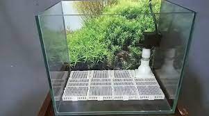 Kalian ingin memiliki sebuah aquarium? 5 Jenis Filter Aquarium Yang Cocok Untuk Aquascape Pemula Sampai Pro Rumah123 Com