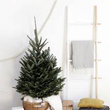 What are the most popular christmas decorations? 17 Modern Christmas Decor Ideas