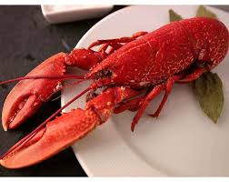 Hombre Bleu De Galice Acheter Des Fruits De Mer A Domicile
