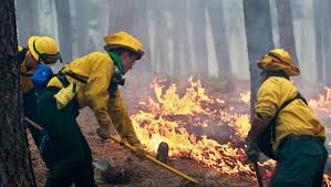 One of the biggest areas of concern right now is the high desert great basin region in utah, nevada and eastern oregon. Tragic Wildfire Season Had Surprisingly Few Fires