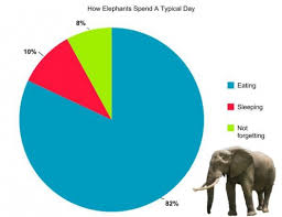 The Typical Lives Of Animals Told In Pie Charts Onelargeprawn