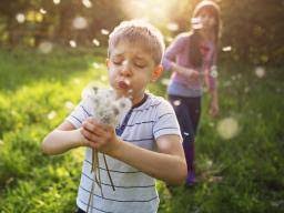 Anaphylactic shock, epinephrine, anaphylaxis, guideline. Hay Fever Allergic Rhinitis Symptoms Causes And Treatment