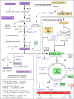 Nutrition Clinique et Mtabolisme - Journal - Elsevier