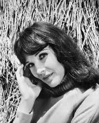 Janice Rule: A Nonchalant Showstopper (Unverified FN) : r/Kibbe