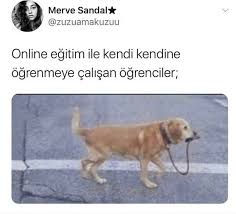 Wollie Adli Kullanicinin Komik Seyler Panosundaki Pin 2020 Komik Capsler Komik Seyler Komik Resimler