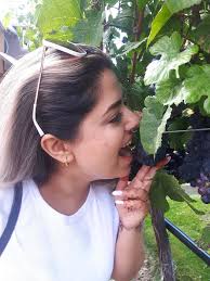 Altimate Club Wine Tours