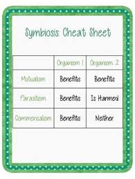 Pin On Science Foldables