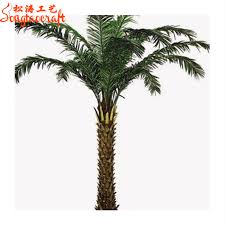 Tree bark fungus identification and treatment. Middle East Date Palm Trees Phoenix Sylvestris Palm Tree Mature Silver Green Outdoor Decoration Mold Handmade Iso9001 Sgs Buy Medjool Date Palms Product On Alibaba Com