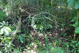 How to cross the border via road: 7 Illegal Crossing Points Found Along Thai Malaysian Border