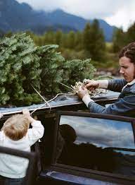 p h fitzgerald kinfolk photography christmas tree farm photo kinfolk magazine