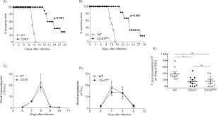 Maybe you would like to learn more about one of these? Cd43 Sialoglycoprotein Modulates Cardiac Inflammation And Murine Susceptibility To Trypanosoma Cruzi Infection Scientific Reports